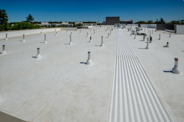 Best Roof Moss and Algae Removal  in Spanish Fort, AL